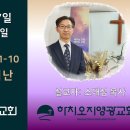 2025년 12월 7일 주일예배 설교내용 – 이새의 뿌리에서 난 평화의 왕. 이미지
