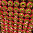 사진작가반 이미지