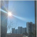 산책길(반려동물 미용실) 이미지