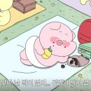 무등시장 이미지