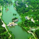 버드나무 이미지