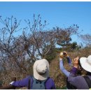 역사체험 이미지