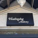 힐링독아카데미 이미지