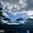 진구스짐 이미지