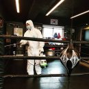 더울프복싱짐 이미지