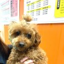 놀러왕왕왕 이미지