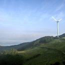 육백마지기 이미지