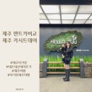 ㈜뉴대한렌트카 | 내돈내산 제주항공 좌석 업그레이드 부터 제주렌트카 비교 후 뉴대한렌트카/아기랑 제주 여행Start!