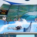 드림월드 이미지