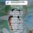 뽑아보세 이미지