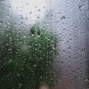 바카스 - 서산시 구진로 60-1 | 바카스