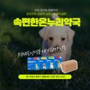 속편한온누리약국 | 부천 원미동 동물약국 속편한온누리약국, 친절한 강아지약 판매약국!