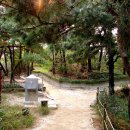 오동근린공원 이미지