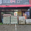 비봉건재