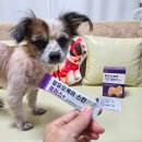 명현약국 | 강아지피부영양제 추천!! 강아지탈모&amp;알로페시아 아부티유 알유오케이스킨플러스 챙겨주세요