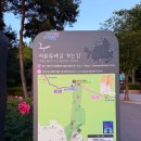 서울 야경명소 추천, 서울둘레길 4코스 용마산 스카이워크 후기