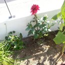 남해쁠라야 이미지