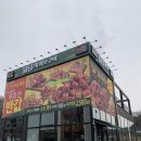 삼송 | 삼송 고기집 원흥 소고기맛집 담가화로구이 삼송점 후기