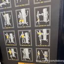 펠리스짐 이미지