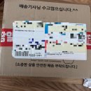 얌, 대추방울토마토 먹을래? [토마토 맛집 - 청년 제철일기]