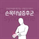 김종임 | 손목터널증후군 통증, 저림증상은 정중신경 손상 때문이다.