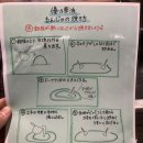 (주)칼시스 | [후쿠오카] 직접 만들어 먹는 하카타 오코노미야키집 추천 ‘우노하나‘ (메뉴 한국어번역, 만드는 법...