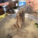 웰빙옹심이 이미지
