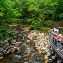 민물박사 이미지