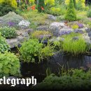 LOVELY DAY'S GROOMING 이미지