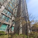 청정동물약품 | 아이를 위한 청정 공간, 벌레퇴치제를 내려놓고 시작한 쾌적한 일상