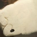 안교돈까스 이미지