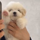 코튼빌리지 부산본점 이미지