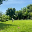 형제농장 이미지