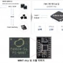 페블스퀘어의 반도체 기술 민트(MINT)' 칩 이미지