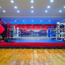 삼성복싱클럽 이미지