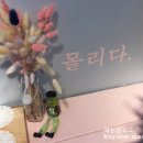 몰리고;몰리다