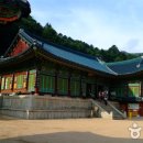 전나무목장 이미지