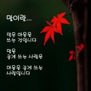 정처[定處] 없는 우리네 인생 길 이미지