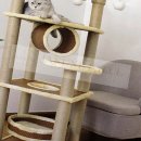 캣 레이크 이미지