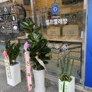 세탁마을직영점 이미지