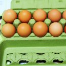 세진네달걀 이미지