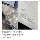 정현농장 | 51번째_25년 포춘 오픈