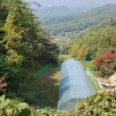 이레농장2 이미지