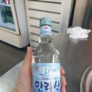 서귀포2청사 티스토리