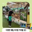 새충북어린이집 | 청주 아이와가볼만한곳 주말 잠사박물관 다녀온 후기