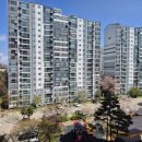 현화중앙길 이미지