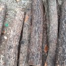 신석농장 이미지