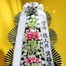 정다운요양병원 이미지