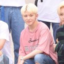 우지 카카오 검색결과