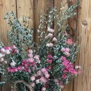 마을세탁본점 이미지